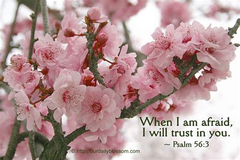 Pin by Amy Al Gee on The Way, theTruth & the Life | Psalm 56 3, Psalm ...