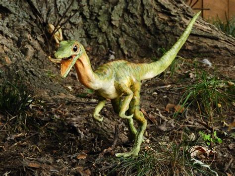 Compy Life-Size Replica Dinosaur Model | Etsy