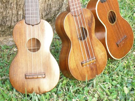 Ukulele Wood Comparison – Different Ukulele Wood Types - Ukulele World