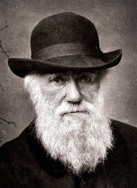 Paul Johnson’s Darwin, Portrait of a Genius: Conservatives smear Darwin ...