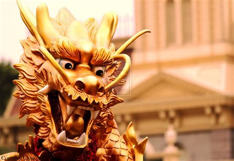 1364x768 resolution | gold-colored dragon statue, chinese dragon, dragon, statue, culture HD ...