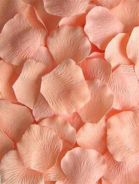 Coral Aesthetic Peach Color Background - Peach wallpaper #aesthetic ...