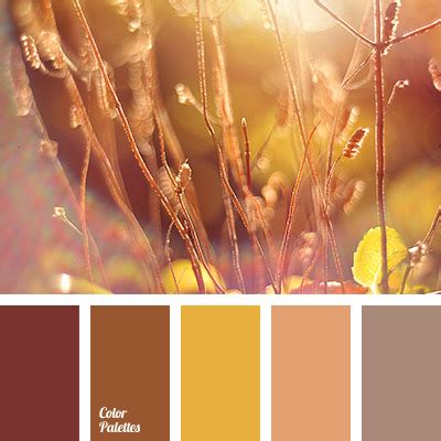 pale orange | Page 2 of 3 | Color Palette Ideas