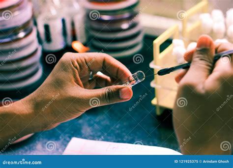 Bacterial Inoculation On A Test Tube Agar Culture Media Using ...