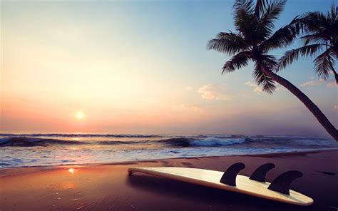 Download wallpapers ocean, beach, palm tree, surfboard, palm trees, tropical island, summer for ...