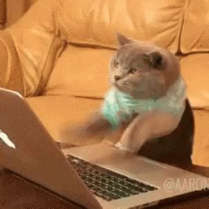 Cat Computer GIF - Cat Computer Typing - Discover & Share GIFs | Cat typing gif, Cat work, Cat gif