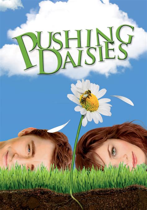 Pushing Daisies (Season 1) (2007) | Kaleidescape Movie Store