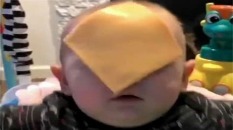 Bizarre cheese throwing challenge draws controversy - ABC13 Houston