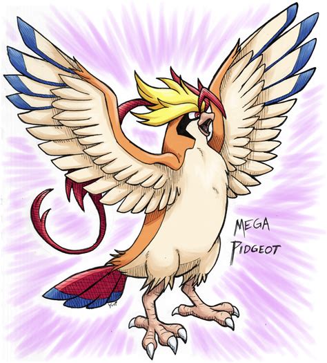 Mega Pidgeot by FENNEKlNS on DeviantArt