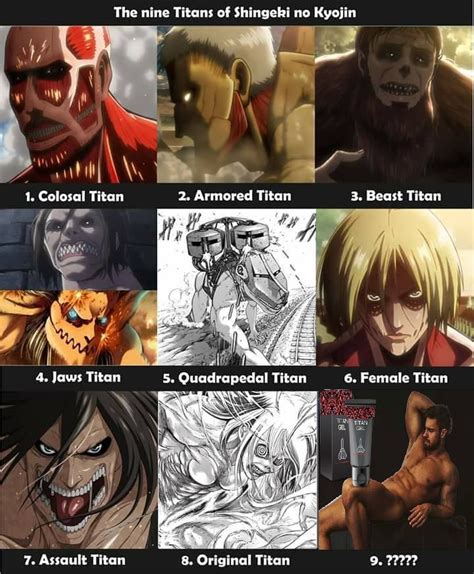 9 titans...???? | Attack on titan anime, Female titan, Attack on titan