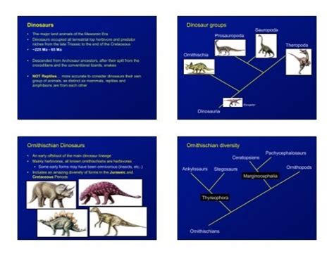 Dinosaurs Dinosaur groups Ornithischian Dinosaurs Ornithischian ...