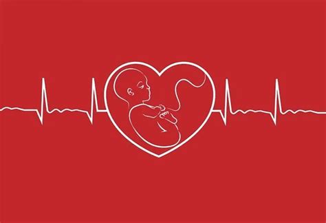 No Heartbeat at 6 Weeks Ultrasound Scan - FAQs