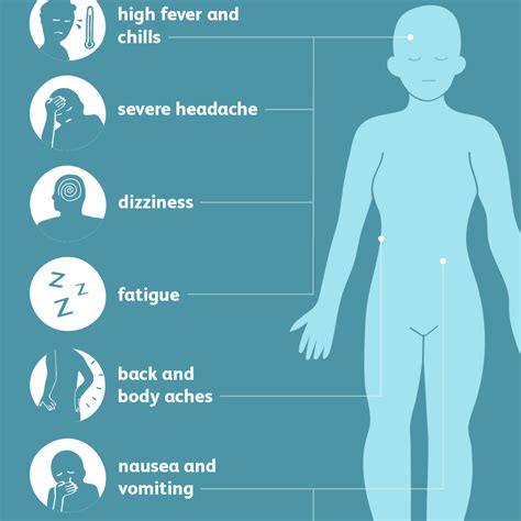 Yellow Fever: Signs, Symptoms, and Complications