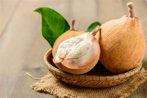 Santol Fruit: A Favorite From The Malay Archipelago