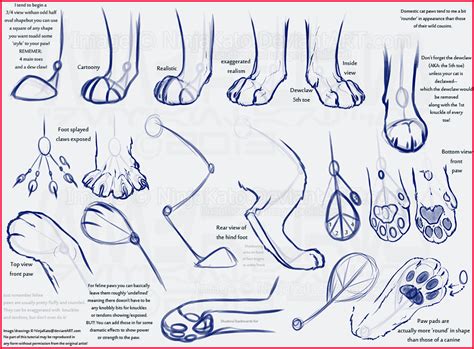 Cat Paw Drawing at PaintingValley.com | Explore collection of Cat Paw Drawing