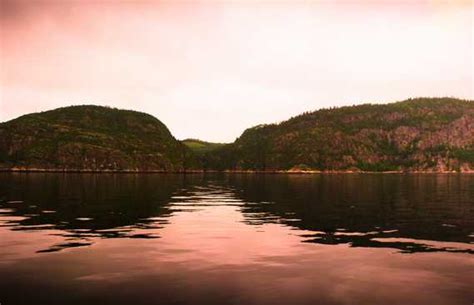 Saguenay River Fjord in Tadoussac: 8 reviews and 18 photos