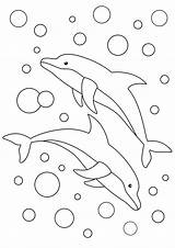 Two dolphins And Beautiful Bubbles  Dolphin Coloring Pages sketch template