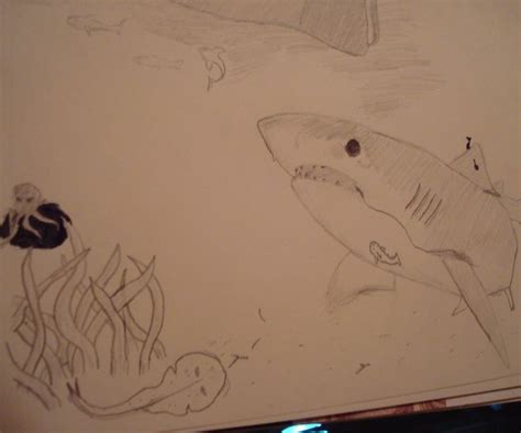 Shark Drawing