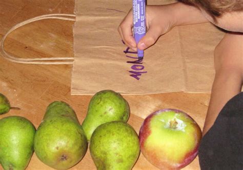 Fruit Ripening Science Experiment with Pears and Apple