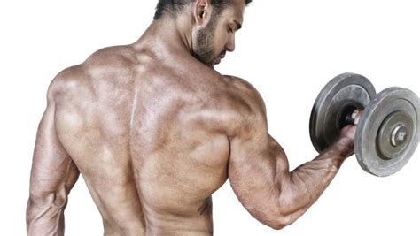 Bodybuilding Training Tips For Stubborn Bicep Growth - RxBodybuilders.com