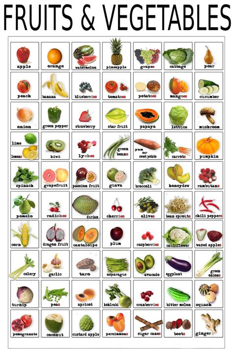 Fruits and Vegetables Infographic Chart 18"x28" (45cm/70cm) Poster