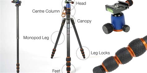 A complete guide to tripod anatomy | Camera Jabber