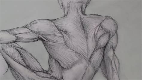 Figure Drawing Lessons 6/8 - Anatomy Drawing For Artists - Drawing Human Anatomy - YouTube