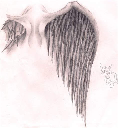 Broken Wing Drawing at GetDrawings | Free download