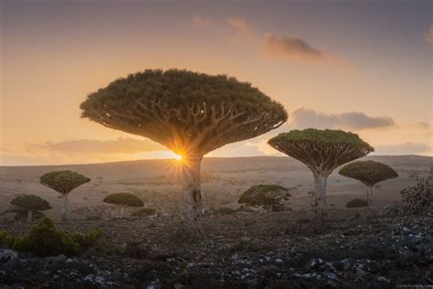 The Top Five Photography Spots in Socotra: This Place Is Beautiful | Fstoppers