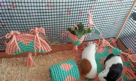 two hamsters in a cage playing with toys and other items on the floor next to each other