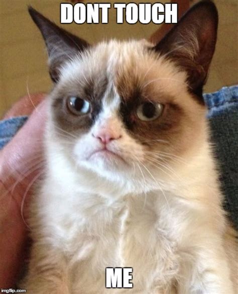 Grumpy Cat Meme - Imgflip