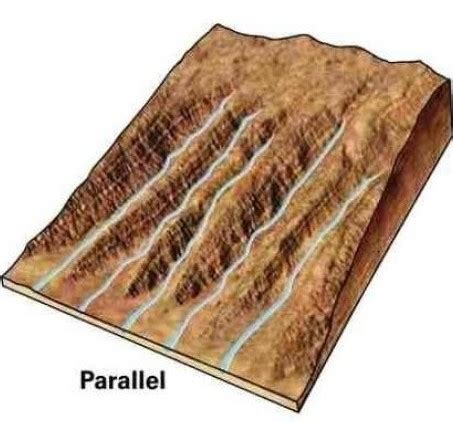 Drainage Patterns and Drainage Systems of India