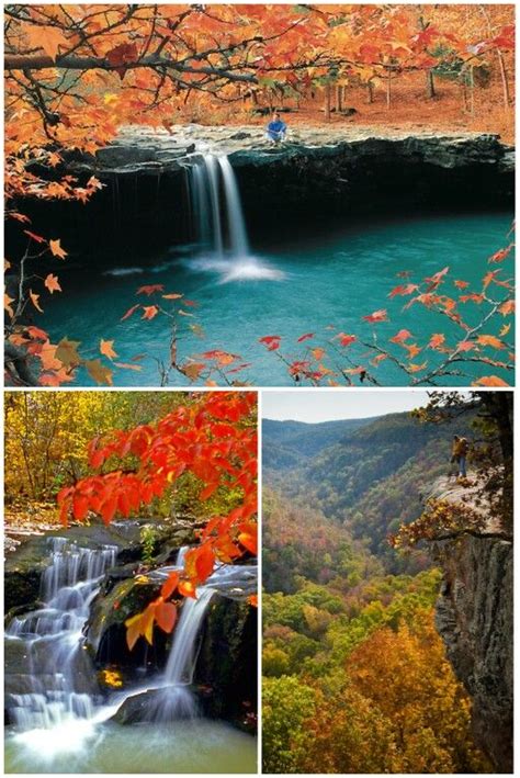 We've collected this mix of stunning fall foliage in Arkansas. Too beautiful not to share ...