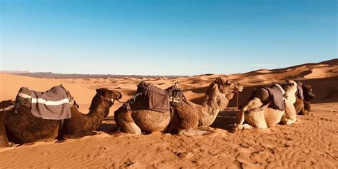 Sahara Desert Morocco: Map, Tips & Ideas for Your Visit | The Gap Decaders