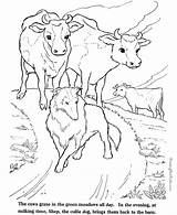 Cows coloring Page  Farm Animals To Print And color 011 sketch template