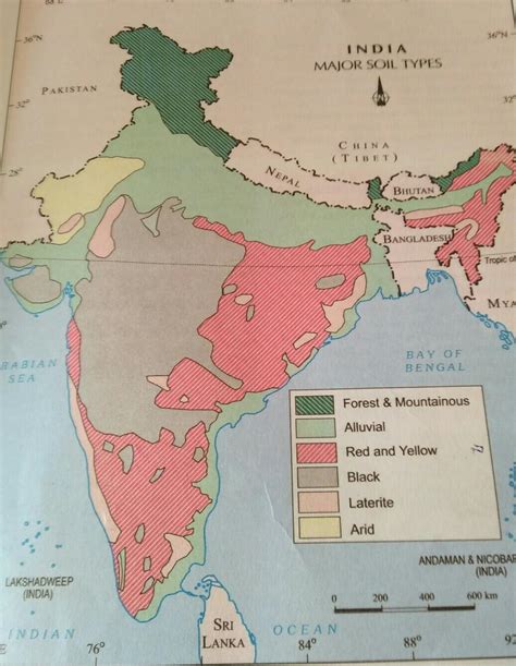 Major Soil Types India Outline Map