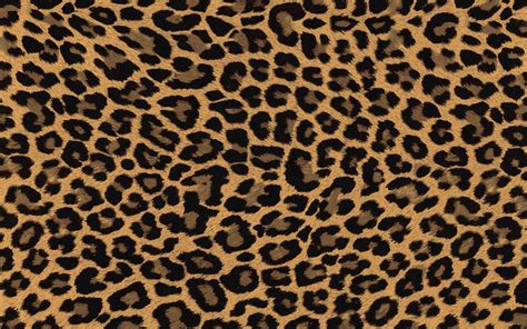 Leopard Print Wallpaper - KoLPaPer - Awesome Free HD Wallpapers