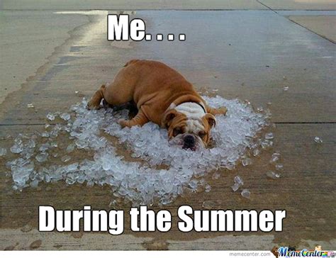 12 Funny Summer Memes That Will Make You See The Season Differently