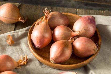 Best Onion Substitutes (What to Choose for Your Recipe)