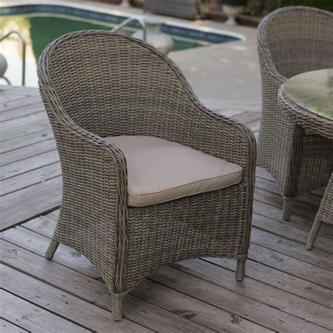 Mingle All-Weather Wicker Patio Dining Chair - Set of 2 | Outdoor wicker chairs, Wicker dining ...