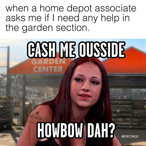 Cash me ousside buying some shrubs | Funnyy | Cash me outside meme ...