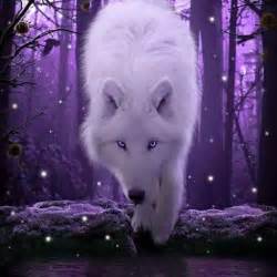 Purple - White Wolf With Purple Eyes (#369802) - HD Wallpaper ...