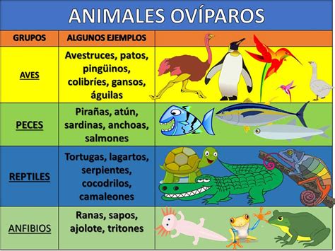 ANIMALES OVÍPAROS