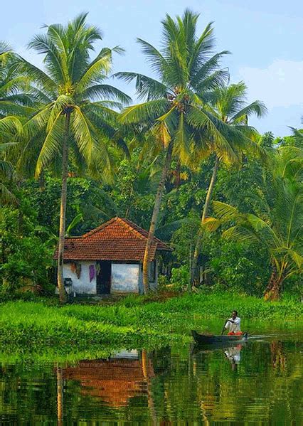 dezembro | 2014 | ℓσηgє∂єν¢ | Village photos, Kerala india, Nature