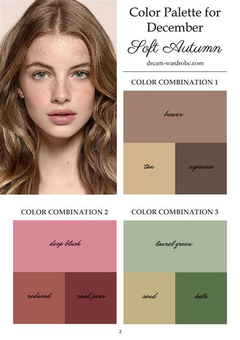 the color palette for an autumn hair color combination