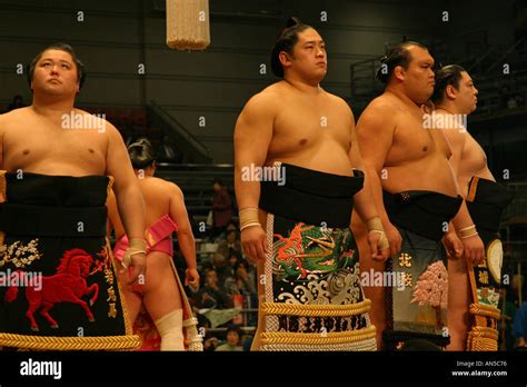 Sumo wrestlers parade in colourful ceremonial clothing during the opening pre match ceremony ...