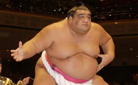 Biggest Sumo Wrestlers Ever - Who Makes It into Top 10 Heaviest