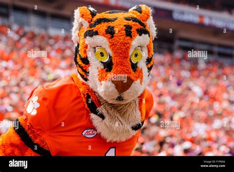 Clemson mascot hi-res stock photography and images - Alamy