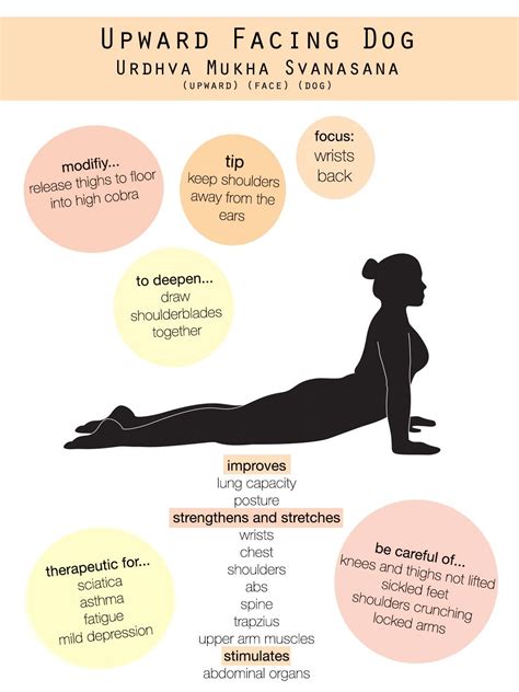 upward facing dog + benefits, modifications and tips! Yoga Positionen, Yoga Body, Yoga ...