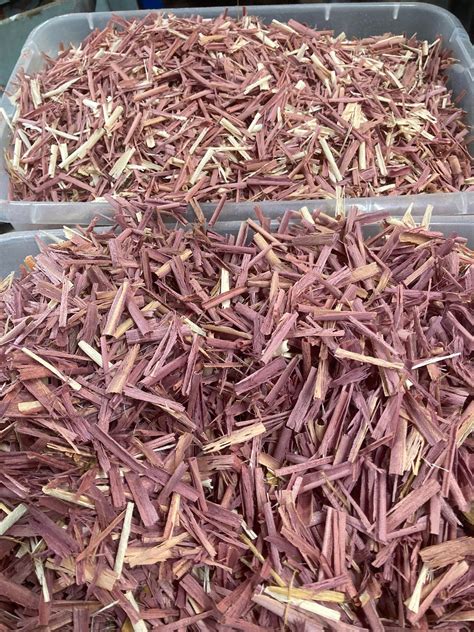 Large Red Cedar Shavings | Etsy